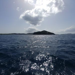 Meet your Posher, Devon